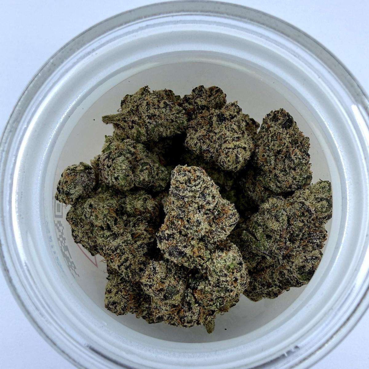 Ursula (DOJA) | 7g - Image 1