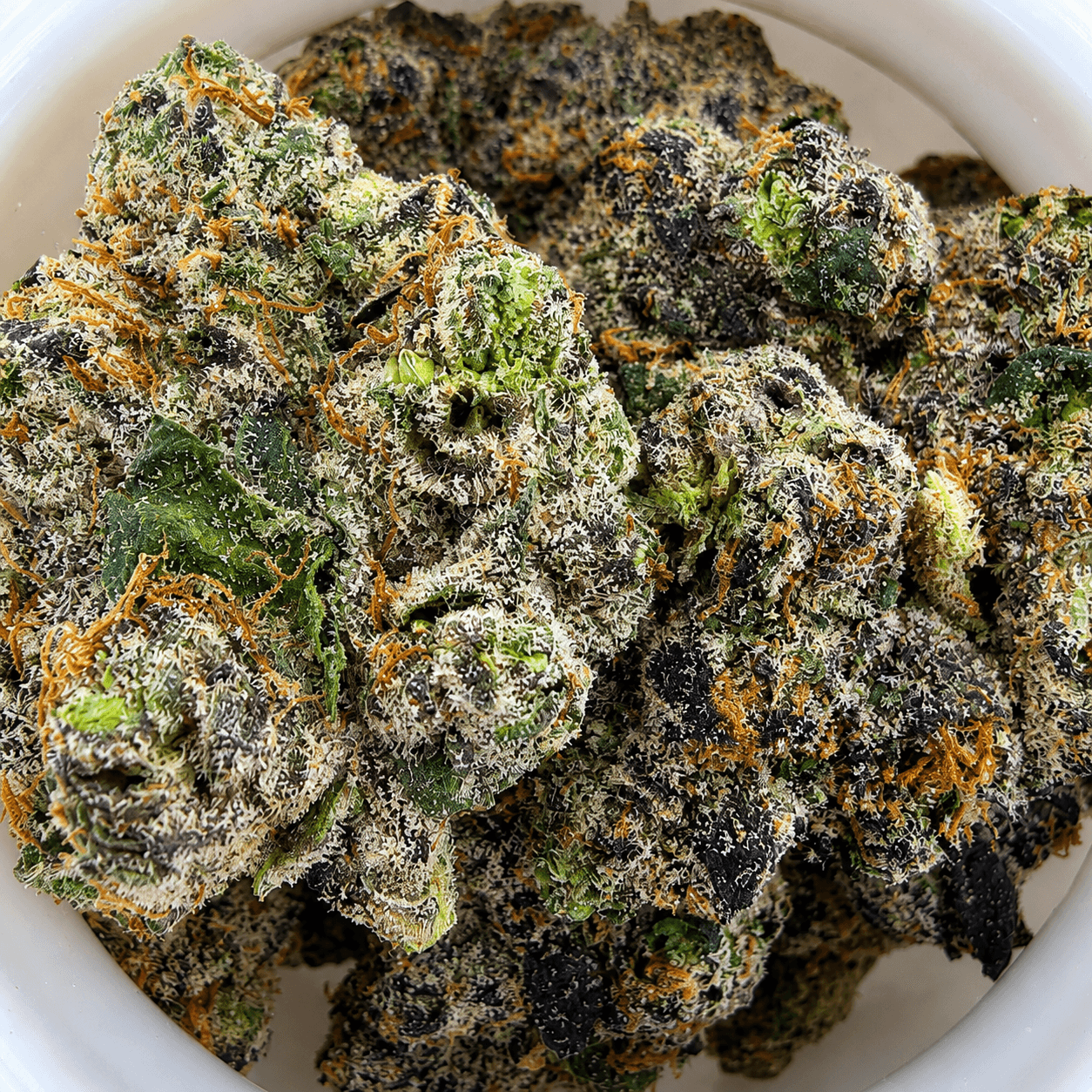 Cherry Popperz | 14g