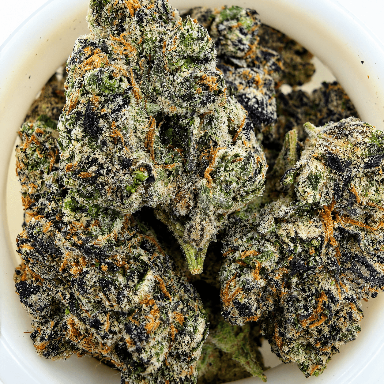 Runtz | 14g - Image 1