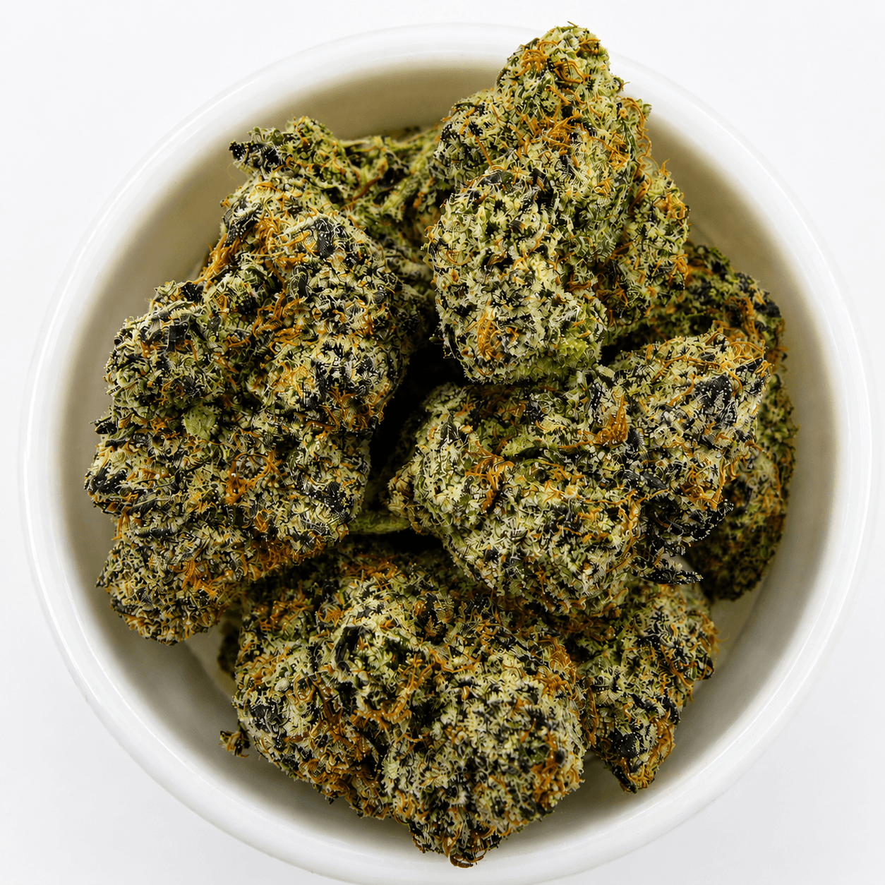 Gelato G41 -7G - Image 1