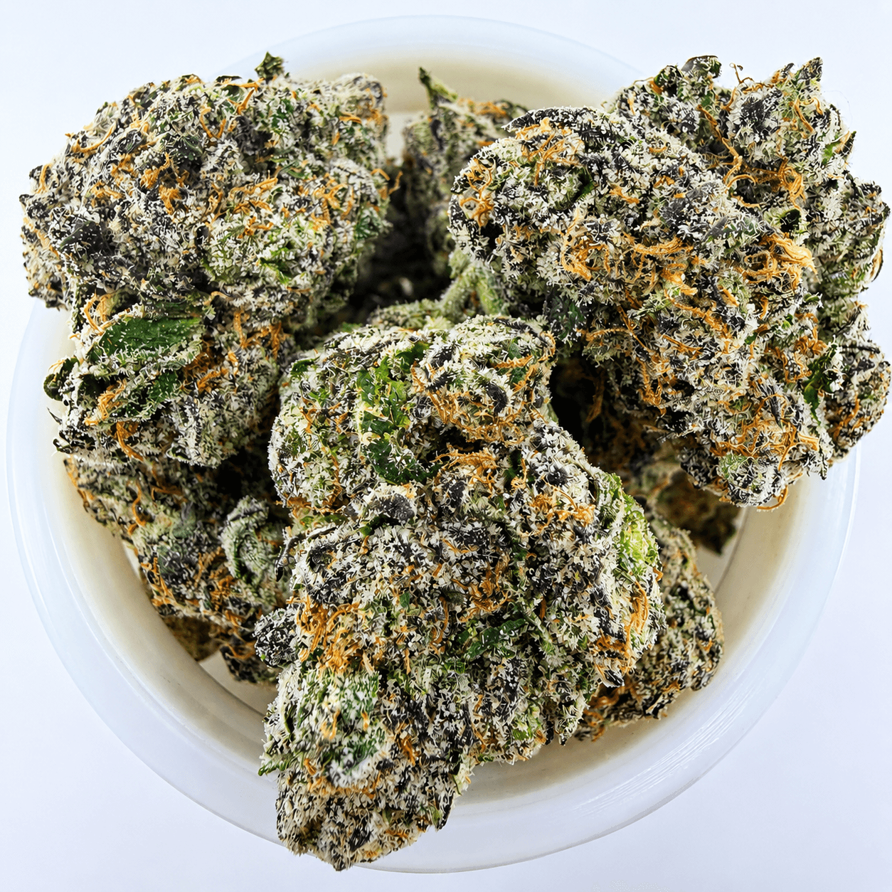 Razzberry Biscotti -14G - Image 1