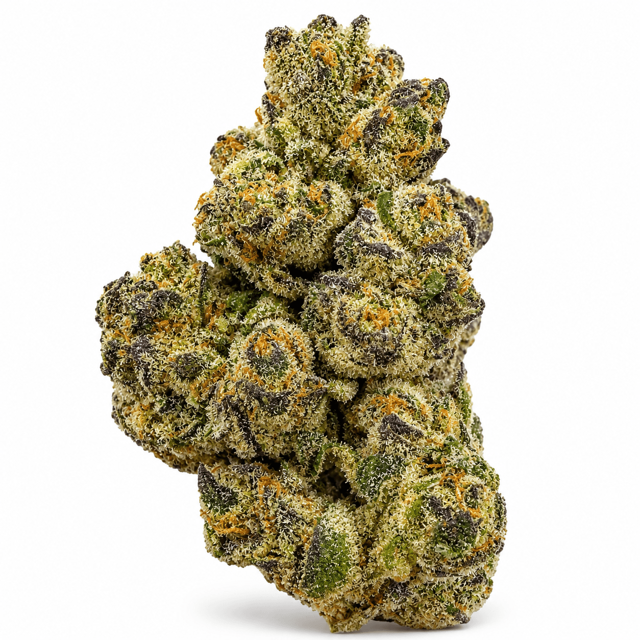 Biscotti - 3.5g 