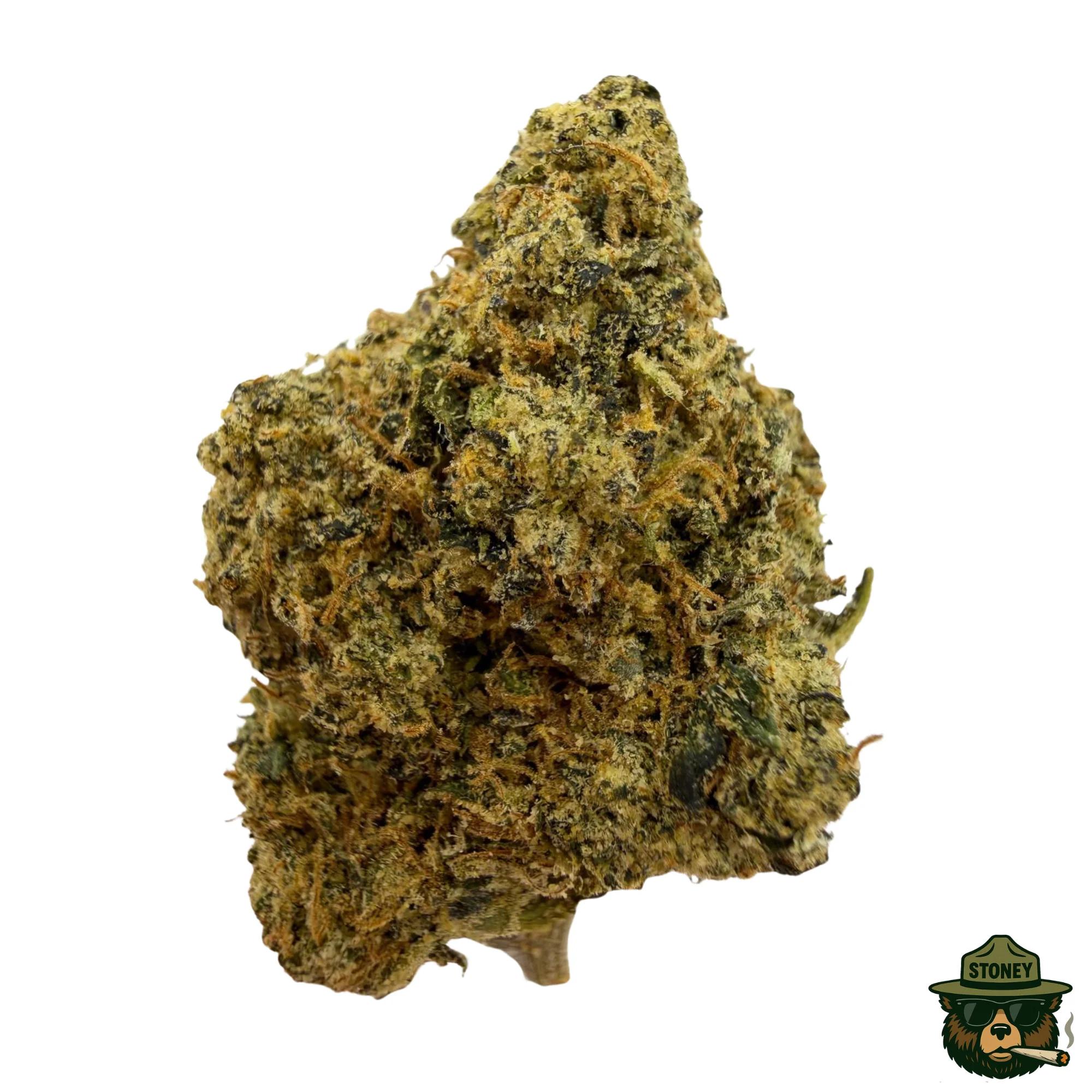 Dirty Fanta | 14g - Image 1