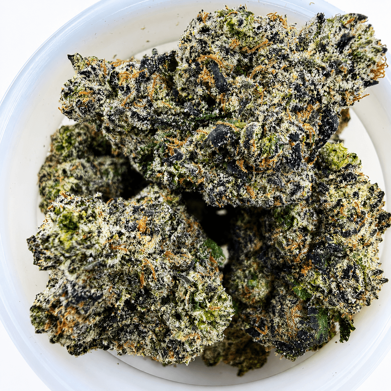 Sundae Church -7G - Image 1