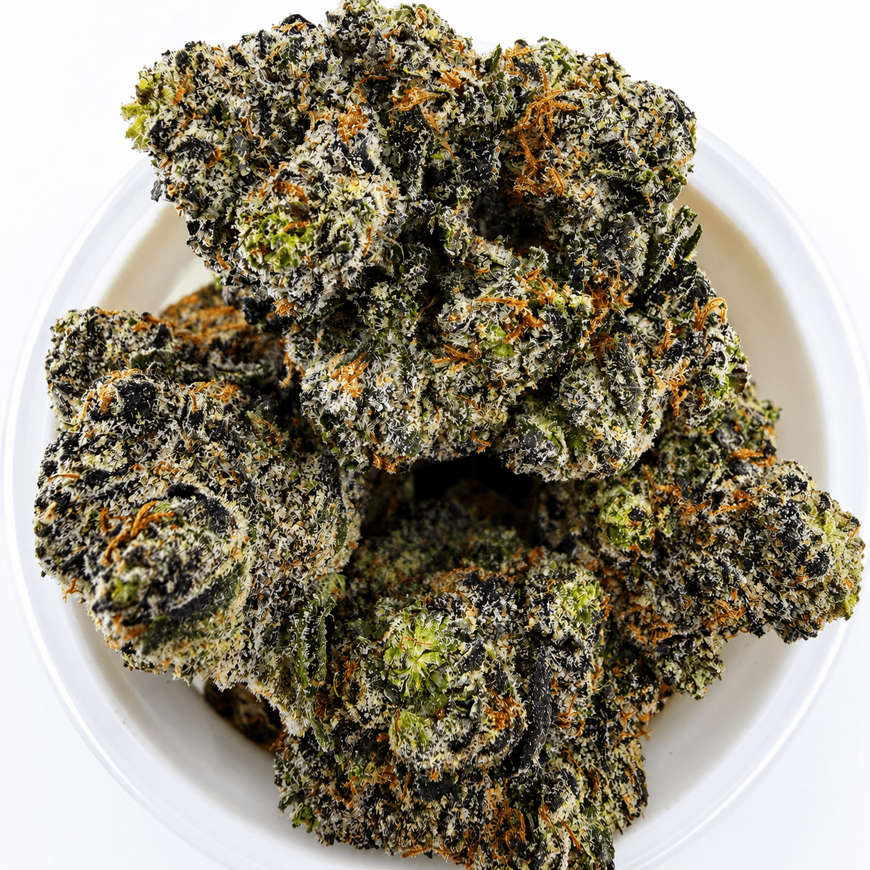 Tropical Blast -7G - Image 1